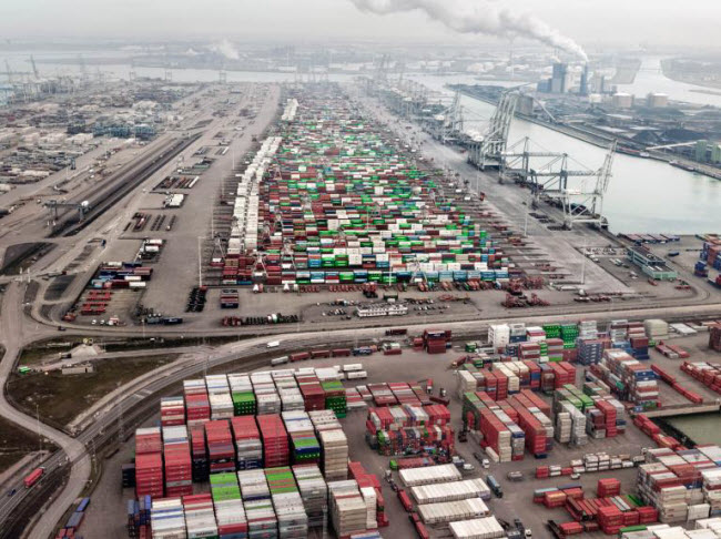 Chiêm ngưỡng các trang trại trong nhà kính "đẹp như tranh" ở Hà Lan - 10