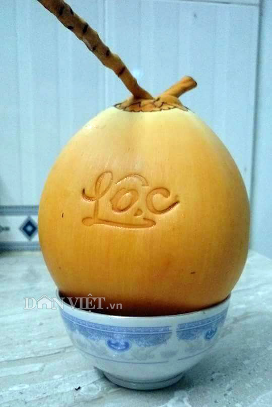 5.000 trái dừa “độc”, lạ có &#34;1-0-2&#34; sẽ được bán trong dịp Tết 2018 - 1