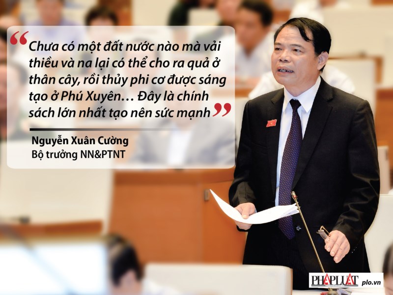 Những phát ngôn "đốt nóng" nghị trường Quốc hội - 11