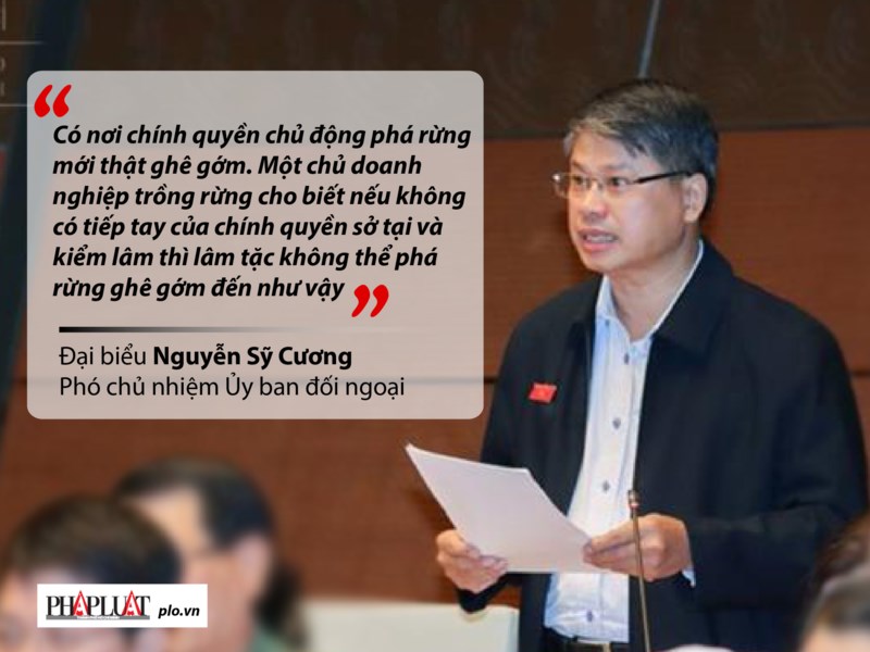 Những phát ngôn "đốt nóng" nghị trường Quốc hội - 3