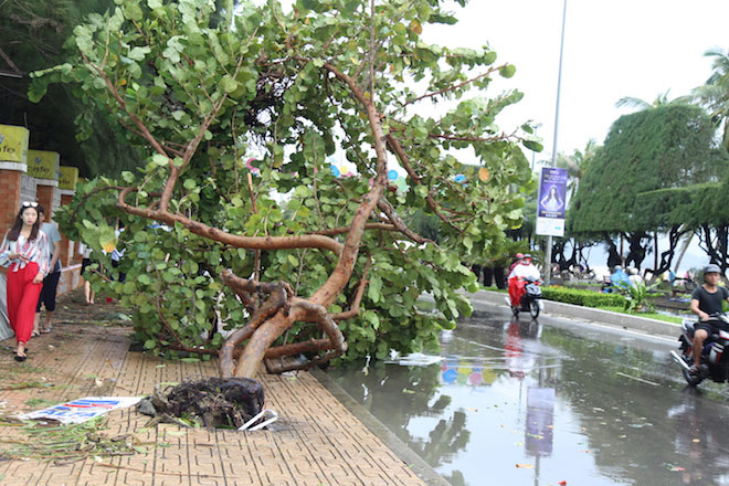 Nha Trang: Người dân kéo nhau ra biển chụp ảnh “tự sướng” sau bão - 14