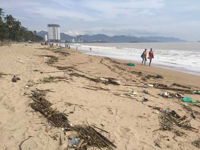 Sau bão càn quét, bãi biển Nha Trang thành “núi rác” - 6