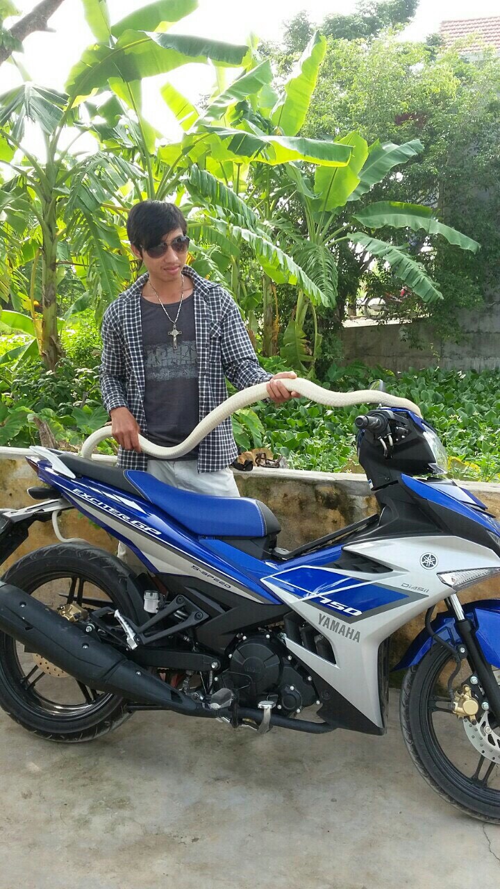 Kỳ lạ rắn bạch tạng mắt đỏ, được trả 150 triệu chủ vẫn không bán - 4