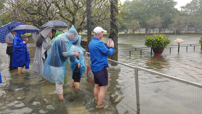 Chuyện hiếm: Đàn cá &#34;vua&#34; bơi tung tăng trên cầu ở Đại nội Huế - 2