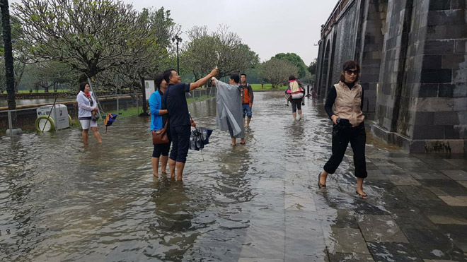 Chuyện hiếm: Đàn cá &#34;vua&#34; bơi tung tăng trên cầu ở Đại nội Huế - 7