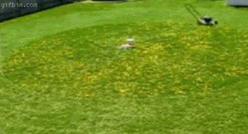 Người lười biếng là những... thiên tài - 3