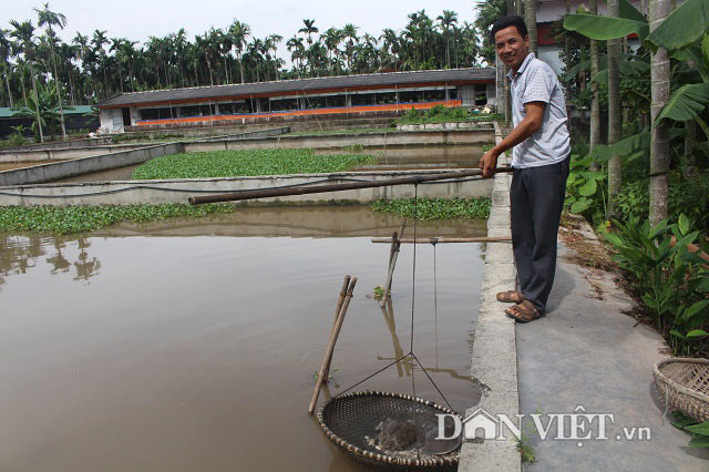 &#34;Đãi&#34; 3.000 con ba ba gai bằng 1 tấn cá mè, mới bán 1/10 thu 400 triệu - 3