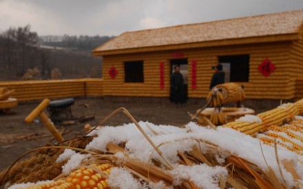 Chưa từng thấy: Dùng 20.000 bắp ngô xây cả trang trại ở TQ - 1