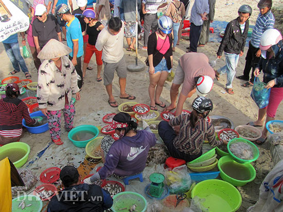 Sau bão số 12, ngư dân Đà Nẵng trúng đậm lộc biển, kéo lưới mỏi tay - 8