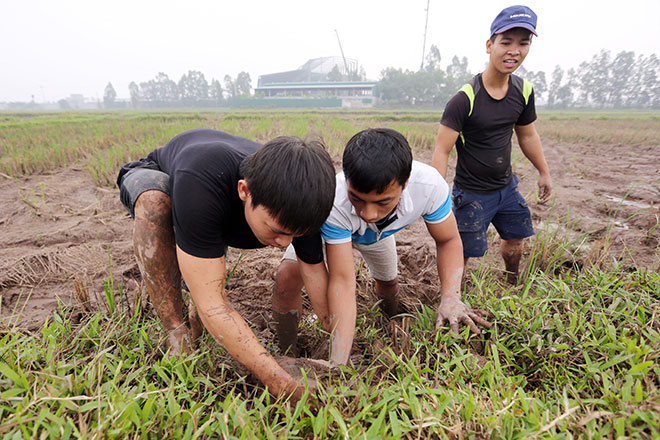 Lội đồng săn con gặm nhấm, trai Thủ đô kiếm tiền triệu mỗi ngày - 3