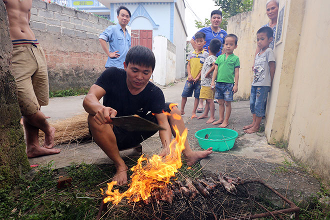 Lội đồng săn con gặm nhấm, trai Thủ đô kiếm tiền triệu mỗi ngày - 11