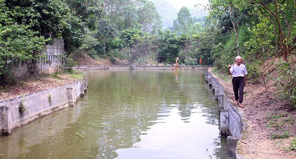 Làm giàu ở nông thôn: Trang trại &#34;Tuyệt tình cốc&#34; bạc tỷ của ông Chao - 2