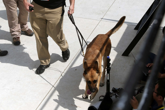 Công việc thầm lặng của đội chống bắn tỉa, mật vụ Mỹ - 7