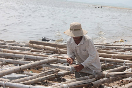 Khánh Hòa: Người dân nuôi thủy sản, tôm hùm nợ chồng chất sau bão - 1