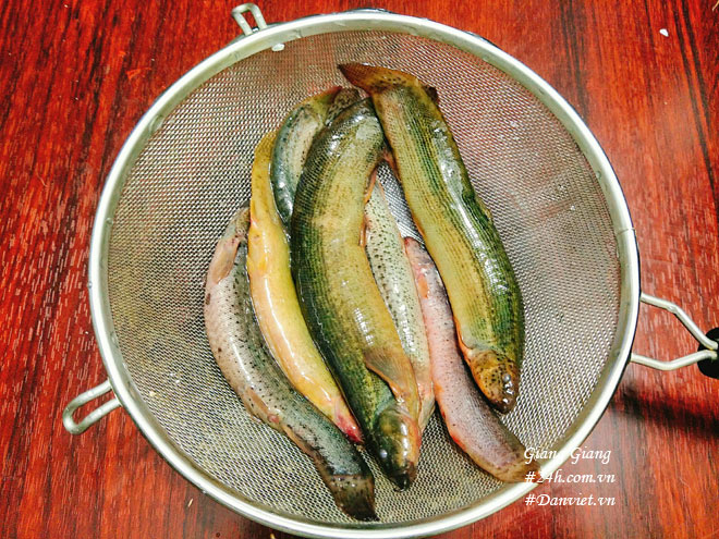 Chạch om dưa giản dị thôi mà ngon "vô đối"! - 3