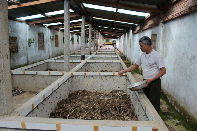 Xây nhà nuôi con kêu ri ri, liên tù tì thu 15 triệu/tháng - 2