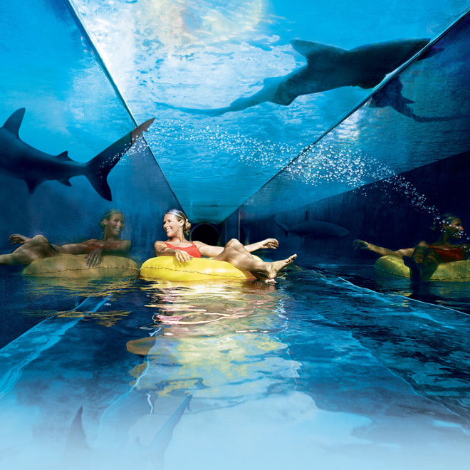 "Choáng" với trò chơi cảm giác mạnh vô cùng đáng sợ ở Dubai - 8