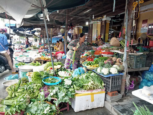 Chát đắng những vựa rau tan hoang sau mưa lũ - 2