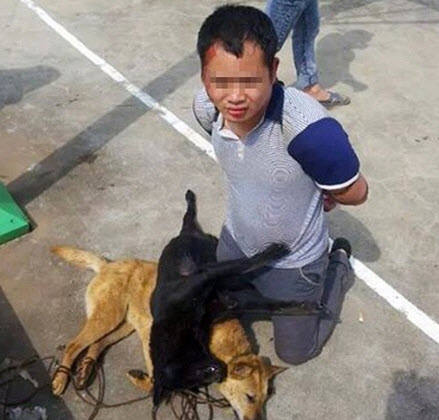 13 quả bưởi - một mạng người - 4