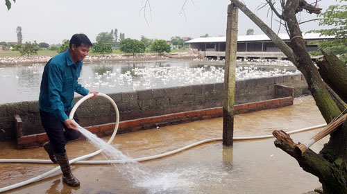 Làm giàu ở nông thôn: Biến ruộng trũng thành trang trại “vàng” - 1