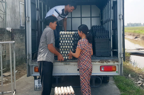 Làm giàu ở nông thôn: Biến ruộng trũng thành trang trại “vàng” - 4