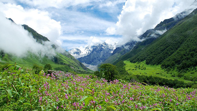 Thung lũng hoa ở Vườn quốc gia Uttarakhand: Được khám phá bởi một người leo núi vào năm 1931, thung lũng hoa này ẩn mình giữa dãy núi cao Hymalaya và dãy núi Zanskar. Là Di sản Thế giới của UNESCO, thung lũng trở nên sống động và thu hút du khách đến nơi đây vào những tháng mùa hè, khi hoa nở rực rỡ khắp cả thung lũng.