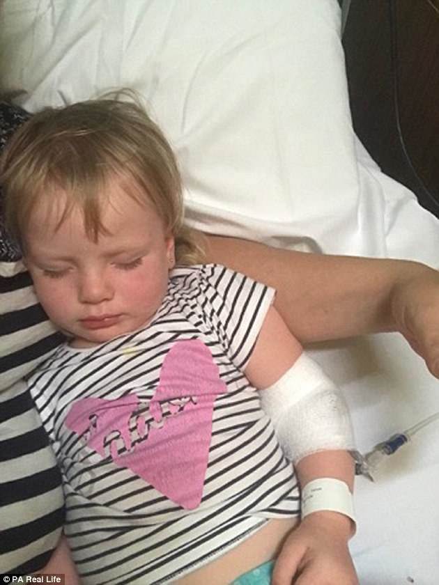 Bé gái 3 tuổi suýt chết vì một vết mèo cào - 3