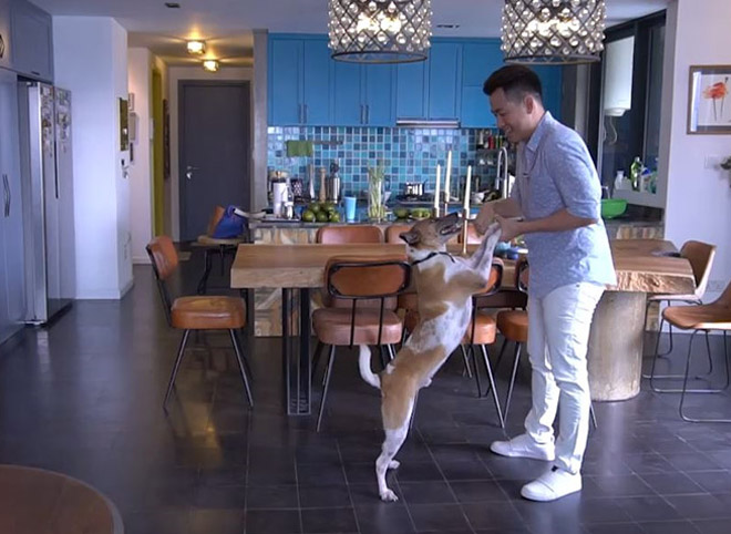 U40, 50 chẳng yêu ai, những quý ông sở hữu gia sản "khủng" của Vbiz - 2