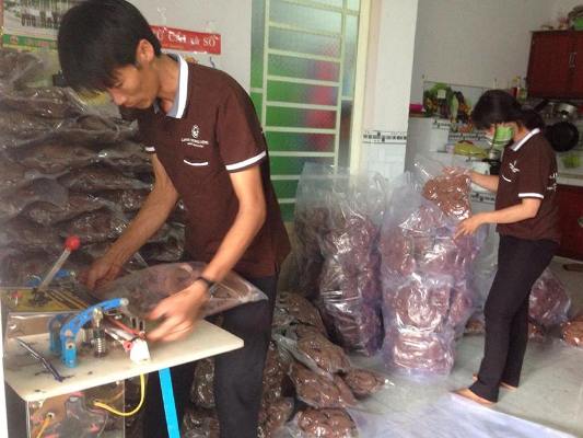 Choáng với trại nấm linh chi “khủng” của kỹ sư về vườn - 8