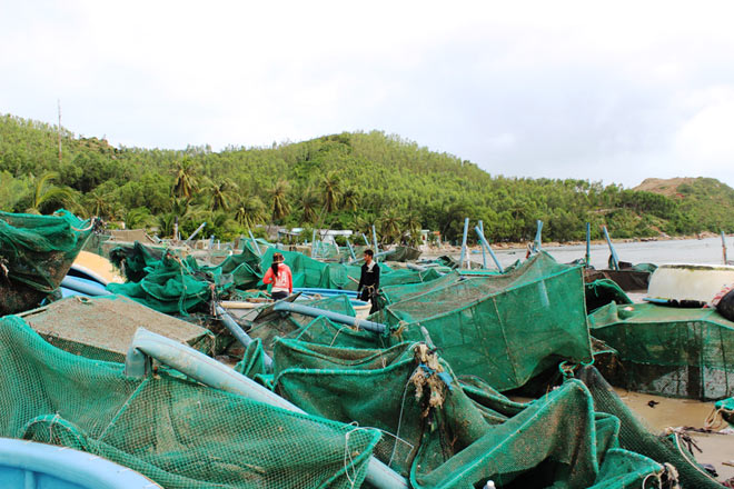 Nước mắt ở làng nghề nuôi trồng thủy sản sau bão dữ - 1