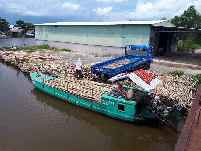 Trưởng phòng thanh tra phòng chống tham nhũng Cà Mau bị bắt - 1