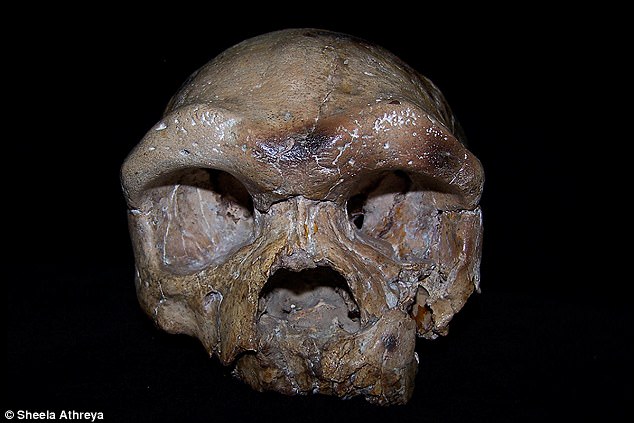 Hộp sọ tìm thấy ở TQ có thể viết lại lịch sử loài người - 1