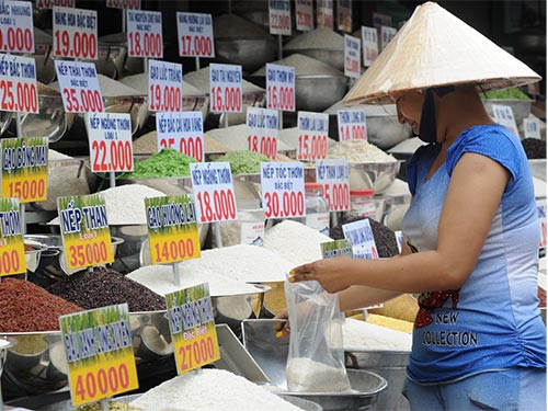 Giá lúa gạo miền Bắc tăng chóng mặt - 1