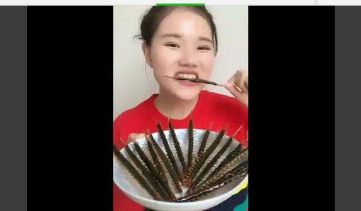 Kinh dị: “Nữ hoàng côn trùng” ăn rết, bọ cạp, giun… ngon lành như bim bim - 8