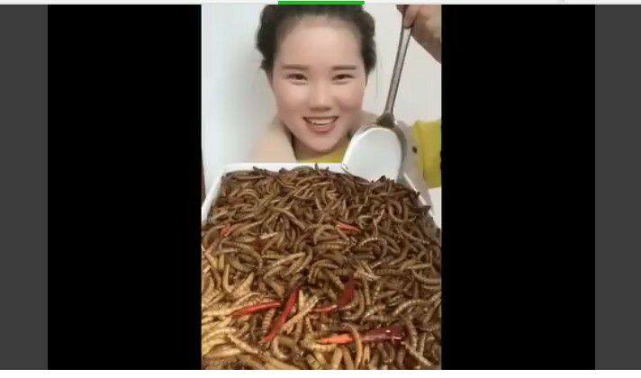 Kinh dị: “Nữ hoàng côn trùng” ăn rết, bọ cạp, giun… ngon lành như bim bim - 5