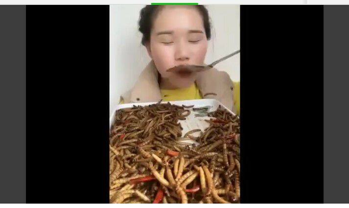 Kinh dị: “Nữ hoàng côn trùng” ăn rết, bọ cạp, giun… ngon lành như bim bim - 6