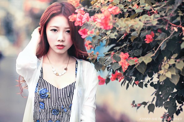 “Nha sĩ xinh đẹp nhất thế giới” đắt khách tới chữa răng - 1