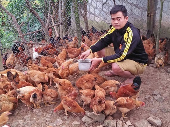 Làm giàu ở nông thôn: Cử nhân người Nùng về quê nuôi giun quế - 4