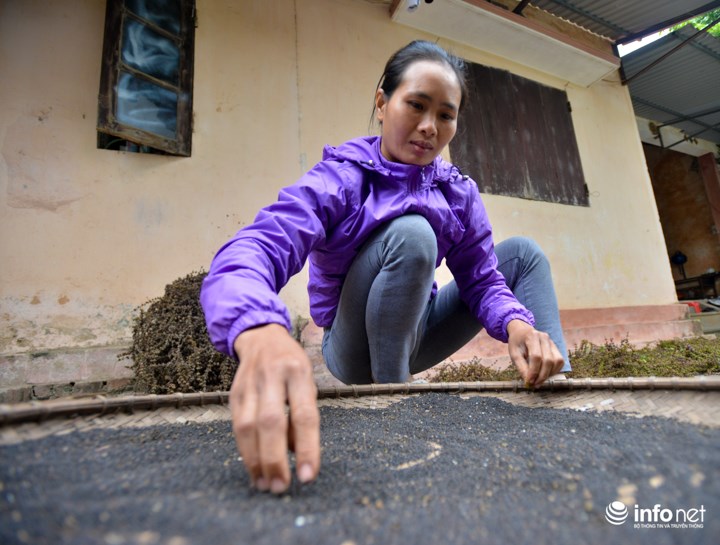 Thực hư cánh đồng hoa Lavender ở ven đô gây sốt cộng đồng mạng - 9