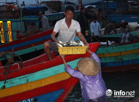 "Nữ phu" trắng đêm đội cá nơi cửa biển! - 2