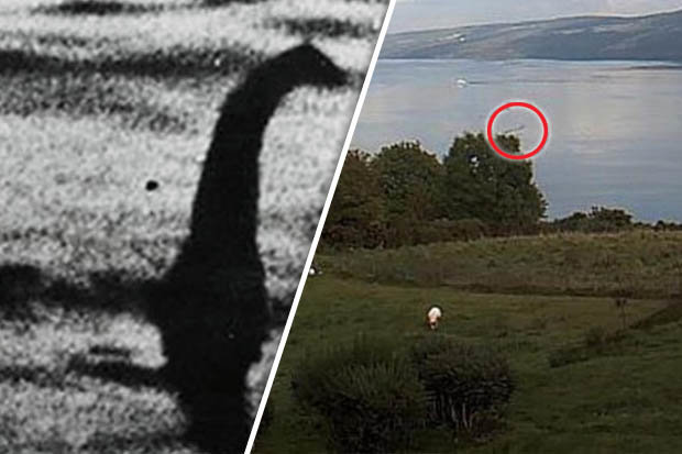 Thêm bằng chứng quái vật hồ Loch Ness tồn tại - 1