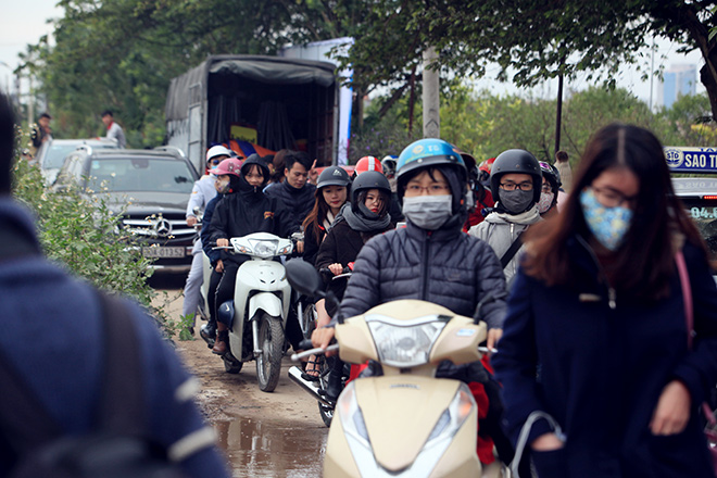HN: Bất chấp rét đậm, hàng nghìn người đổ về Nhật Tân check-in cúc họa mi - 2