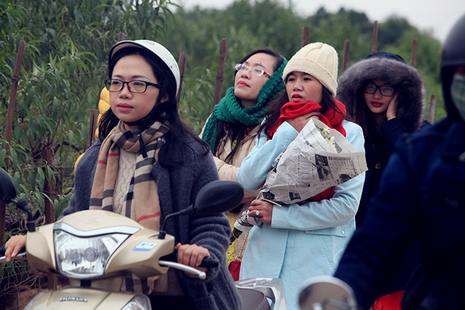 HN: Bất chấp rét đậm, hàng nghìn người đổ về Nhật Tân check-in cúc họa mi - 3