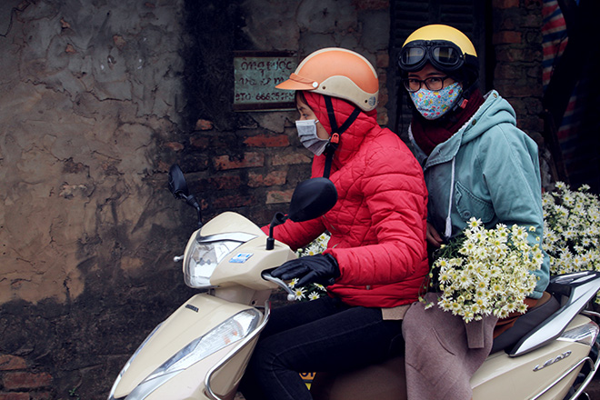 HN: Bất chấp rét đậm, hàng nghìn người đổ về Nhật Tân check-in cúc họa mi - 6