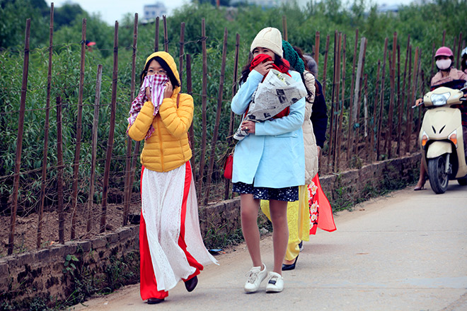 HN: Bất chấp rét đậm, hàng nghìn người đổ về Nhật Tân check-in cúc họa mi - 4