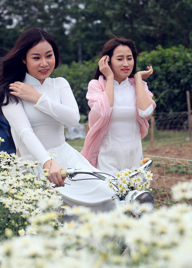 HN: Bất chấp rét đậm, hàng nghìn người đổ về Nhật Tân check-in cúc họa mi - 14