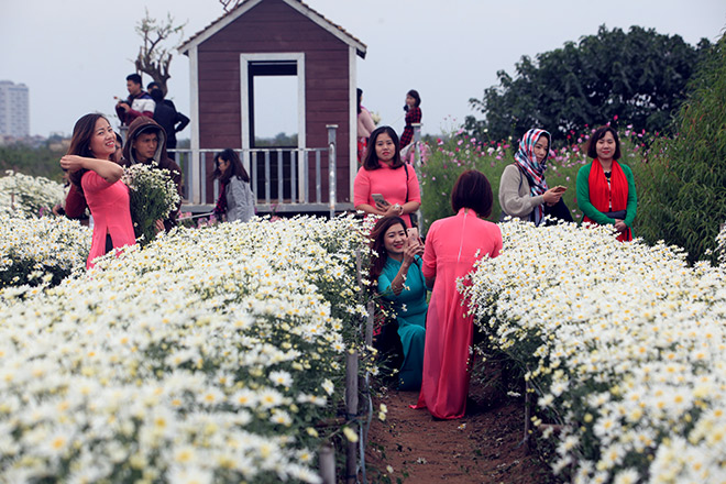 HN: Bất chấp rét đậm, hàng nghìn người đổ về Nhật Tân check-in cúc họa mi - 11