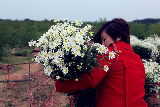 HN: Bất chấp rét đậm, hàng nghìn người đổ về Nhật Tân check-in cúc họa mi - 16