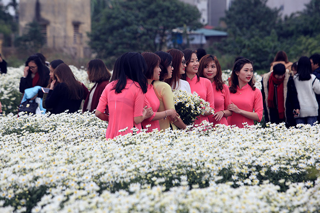 HN: Bất chấp rét đậm, hàng nghìn người đổ về Nhật Tân check-in cúc họa mi - 10