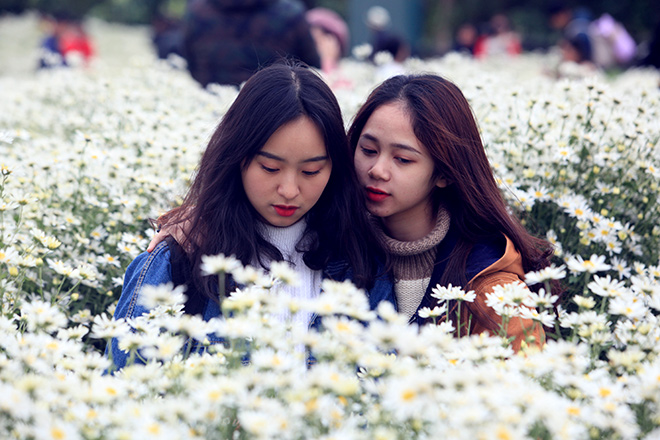 HN: Bất chấp rét đậm, hàng nghìn người đổ về Nhật Tân check-in cúc họa mi - 15